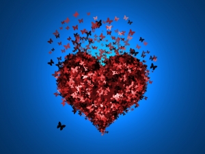 wp-1456221434529 image