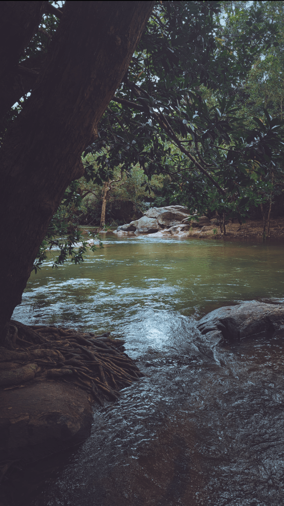 River side peace by Moksha